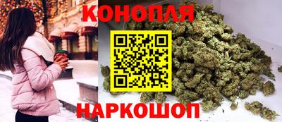 гидра Рязань