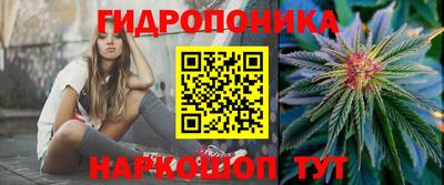 прущие грибы Рузаевка