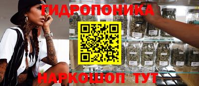 jwh Рыбинск