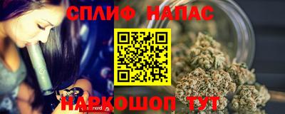 гидра Рязань