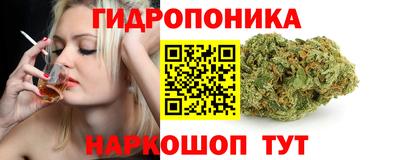 прущие грибы Рузаевка