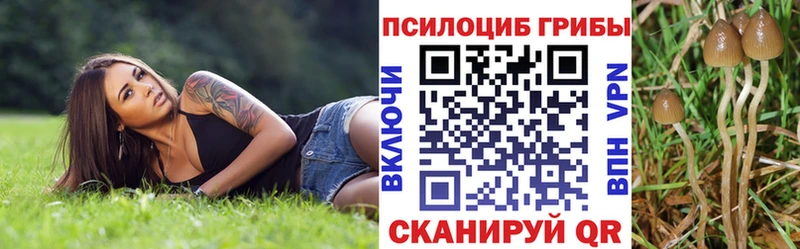 Псилоцибиновые грибы Psilocybe  Азнакаево 