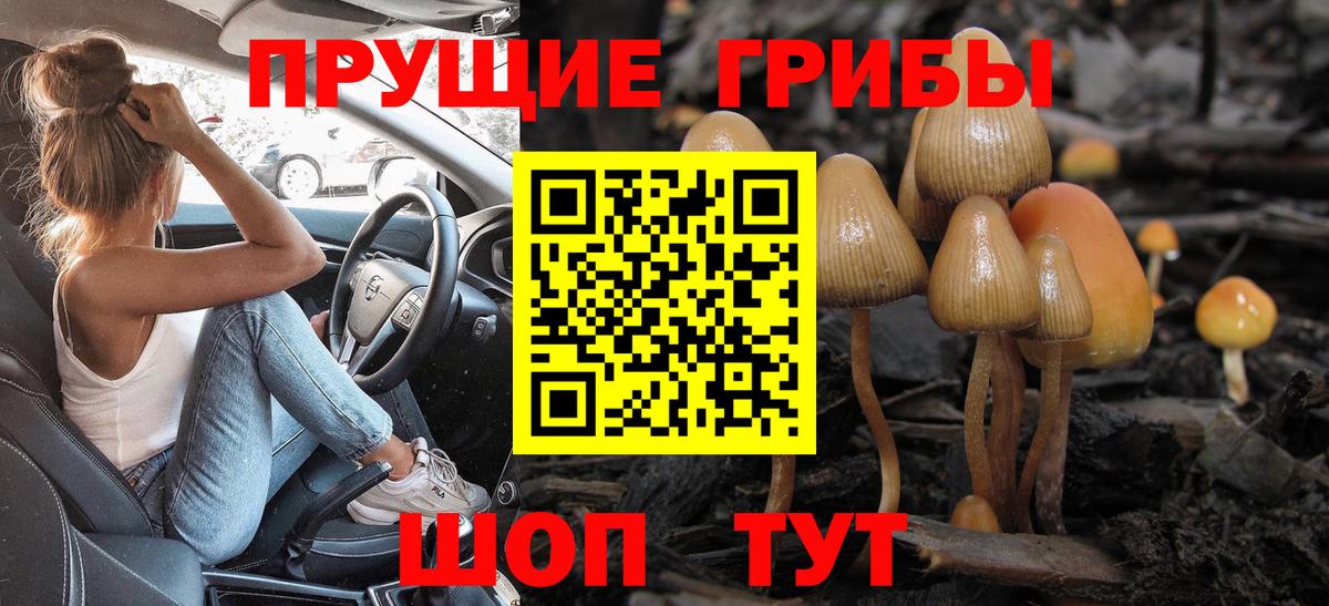 Псилоцибиновые грибы Cubensis Азнакаево