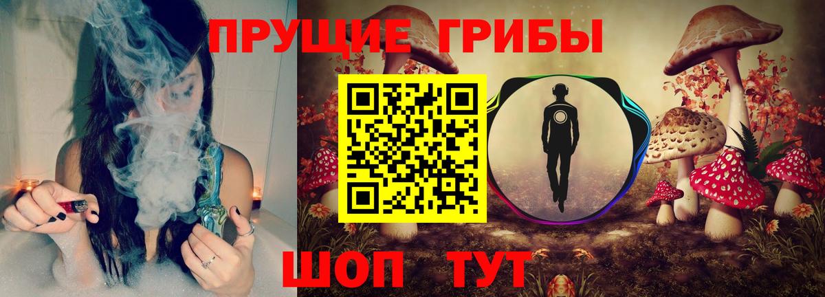 цена наркотик  Галлюциногенные грибы Magic Shrooms  Галлюциногенные грибы Psilocybe  Вход с VPN  Азнакаево 